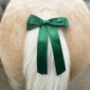 Load image into Gallery viewer, Equetech Warning Tail Ribbon - Green, Red.