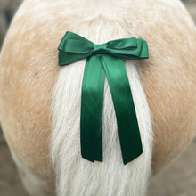 Load image into Gallery viewer, Equetech Warning Tail Ribbon - Green, Red.