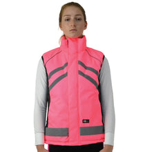 Load image into Gallery viewer, HyVIZ Padded Gilet