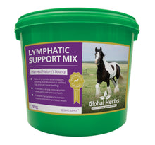 Load image into Gallery viewer, Lymphatic Support Mix - Global Herbs
