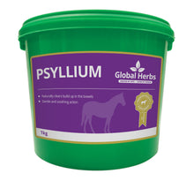 Load image into Gallery viewer, Psyllium 1kg - Global Herbs