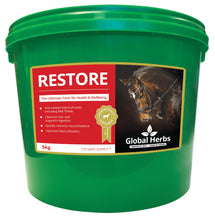 Load image into Gallery viewer, Restore - Global Herbs