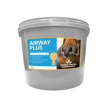 Load image into Gallery viewer, Airway Plus Powder - Global Herbs