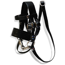 Load image into Gallery viewer, Crafty Ponies PU Saddle and Bridle Set (BLACK BAG)