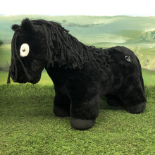 Load image into Gallery viewer, Crafty Ponies