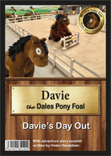 Load image into Gallery viewer, 'My New Baby Foal' Collection