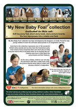 Load image into Gallery viewer, 'My New Baby Foal' Collection
