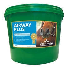 Load image into Gallery viewer, Airway Plus Powder - Global Herbs