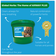 Load image into Gallery viewer, Airway Plus Powder - Global Herbs
