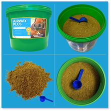 Load image into Gallery viewer, Airway Plus Powder - Global Herbs