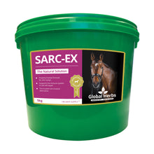 Load image into Gallery viewer, Global Herbs Sarc-Ex for Horses