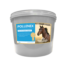 Load image into Gallery viewer, Pollenex - Global Herbs