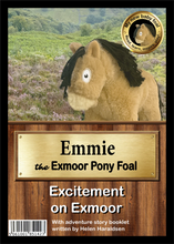 Load image into Gallery viewer, 'My New Baby Foal' Collection