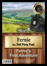Load image into Gallery viewer, 'My New Baby Foal' Collection
