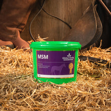 Load image into Gallery viewer, MSM 1kg - Global Herbs
