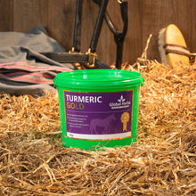 Load image into Gallery viewer, Turmeric - Global Herbs