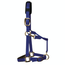 Load image into Gallery viewer, KM Elite Padded Headcollar