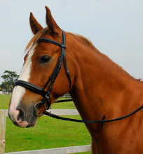 Load image into Gallery viewer, Heritage Comfort Bridle