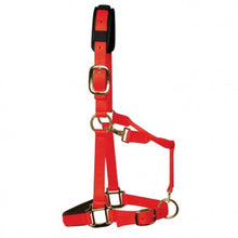 Load image into Gallery viewer, KM Elite Headcollar & Matching Leadrope