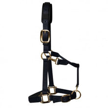 Load image into Gallery viewer, KM Elite Headcollar & Matching Leadrope