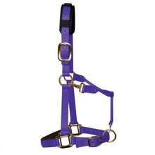 Load image into Gallery viewer, KM Elite Headcollar & Matching Leadrope