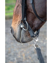 Load image into Gallery viewer, Lunging Adapter