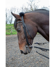 Load image into Gallery viewer, Lunging Adapter