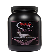 Load image into Gallery viewer, Omega Digest - Gut Balancer