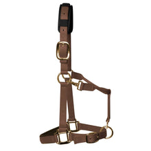 Load image into Gallery viewer, KM Elite Padded Headcollar