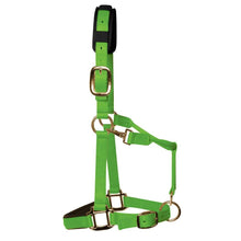 Load image into Gallery viewer, KM Elite Padded Headcollar
