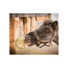 Load image into Gallery viewer, Silvermoor Swingers Captivating Carrot