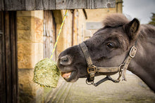 Load image into Gallery viewer, Silvermoor Swingers