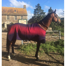 Load image into Gallery viewer, COOLER/STABLE/TRAVEL HORSE RUG - BY  THERMAL-XTRA