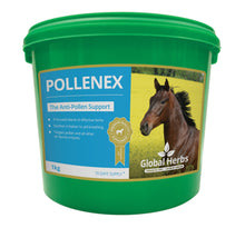 Load image into Gallery viewer, Pollenex - Global Herbs
