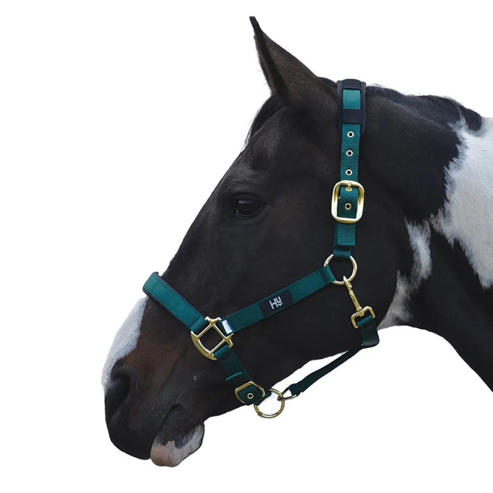 Hy Equestrian Deluxe Padded Head Collar