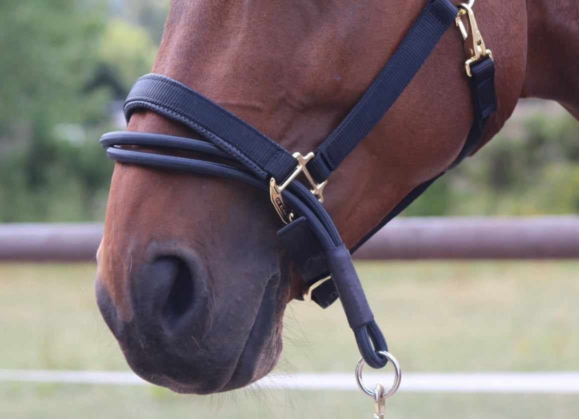 KM ELITE Ezyloader Headcollar Adaptor – TackExchange