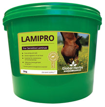 Load image into Gallery viewer, LamiPro - Global Herbs
