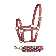 Load image into Gallery viewer, BITZ SOFT HANDLE /STRIPE TWO TONE HEADCOLLAR/LEAD ROPE SET
