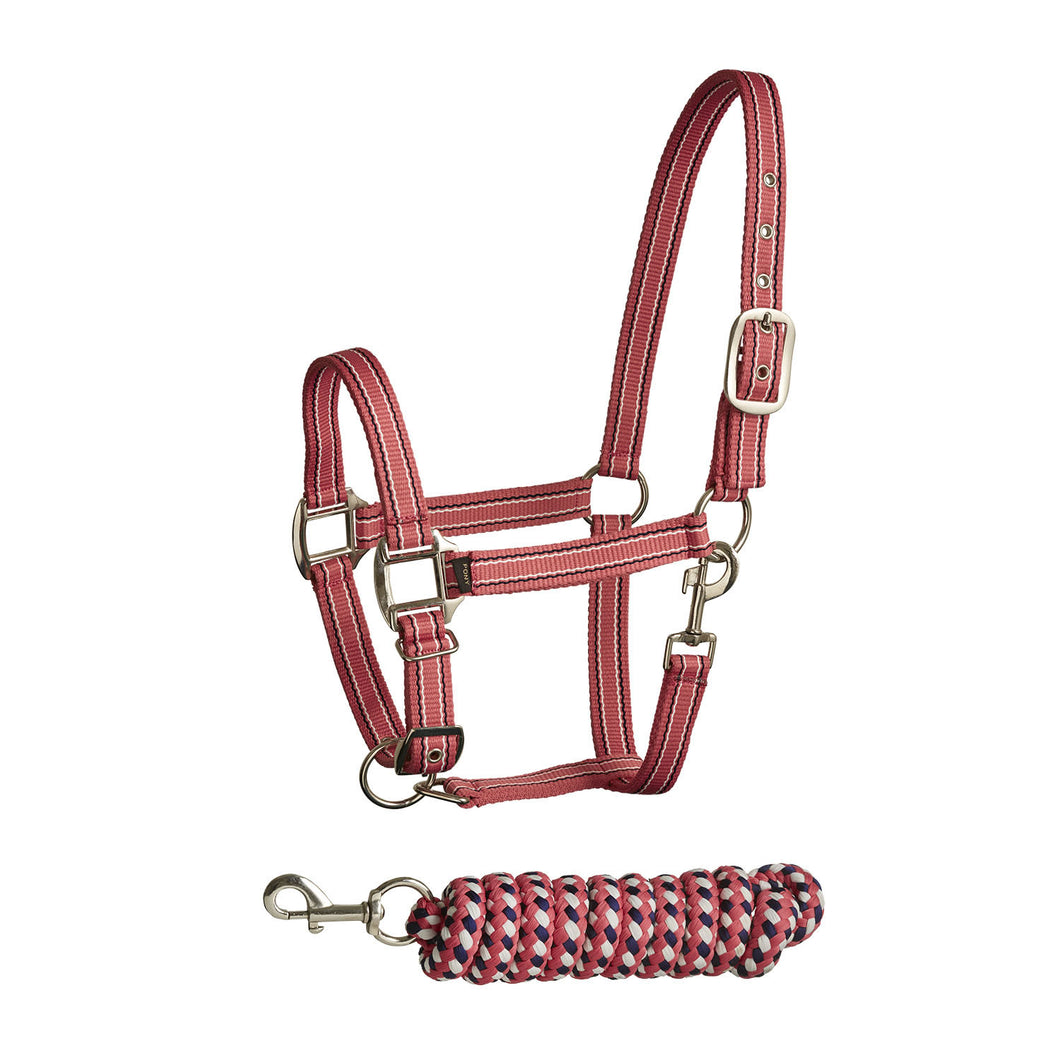 BITZ SOFT HANDLE /STRIPE TWO TONE HEADCOLLAR/LEAD ROPE SET