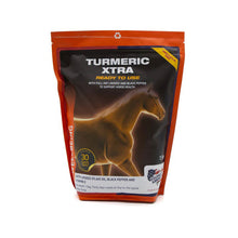 Load image into Gallery viewer, EQUINE AMERICA TURMERIC XTRA
