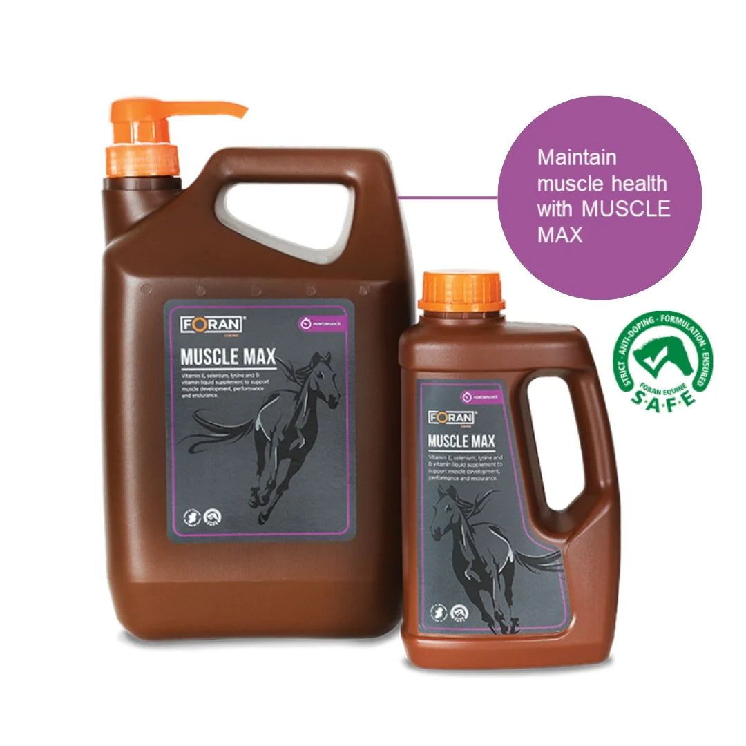 Foran Equine Muscle Max – TackExchange