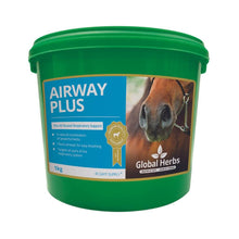 Load image into Gallery viewer, Airway Plus Powder - Global Herbs
