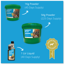 Load image into Gallery viewer, Airway Plus Powder - Global Herbs
