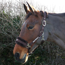 Load image into Gallery viewer, HYCONIC Faux Fur Head Collar &amp; Lead Rope
