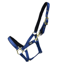 Load image into Gallery viewer, Hy Equestrian Fieldsafe Headcollar
