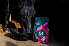 Load image into Gallery viewer, SPILLERS Hoof Health. 3kg
