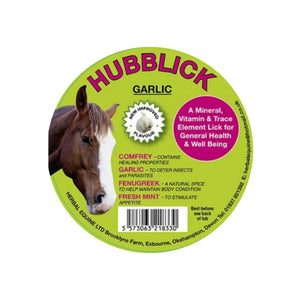Hubblick Horse Lick 1kg