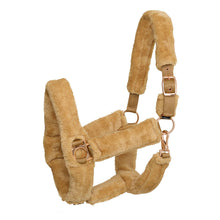 Load image into Gallery viewer, MPERIAL RIDING HEADCOLLAR FUR IRH GO STAR
