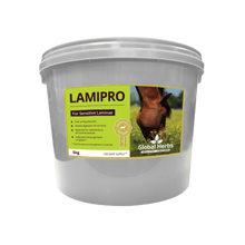 Load image into Gallery viewer, LamiPro - Global Herbs
