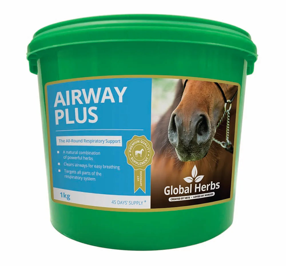 Global Herbs Airway Plus Powder